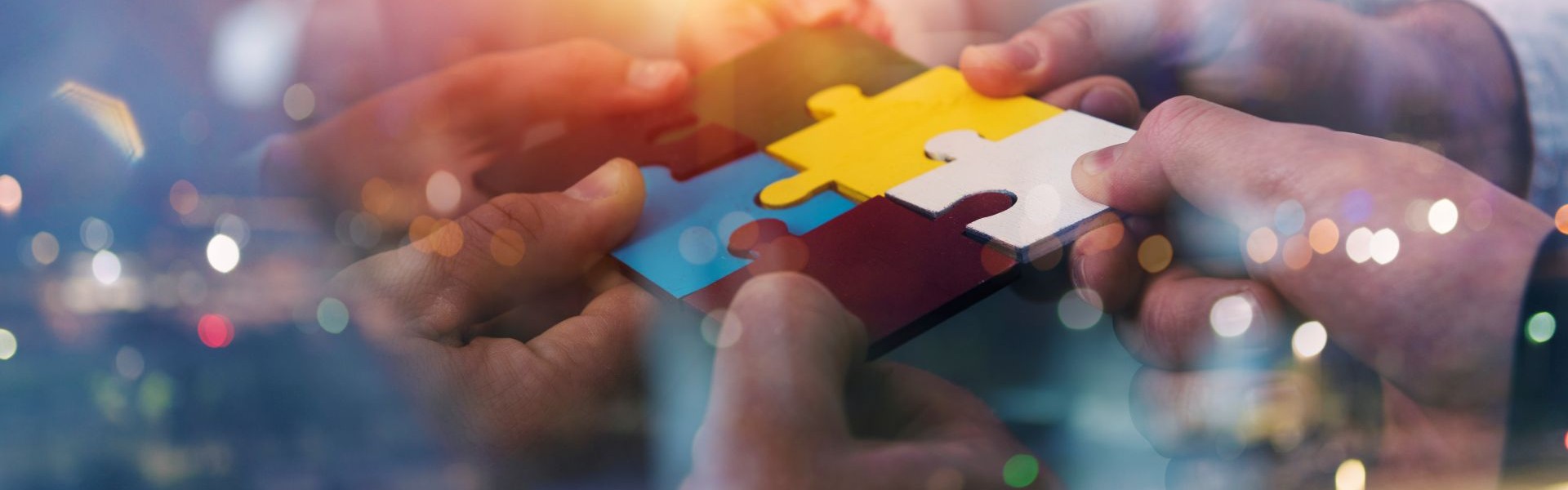 BTRi Innovation Partner Programme